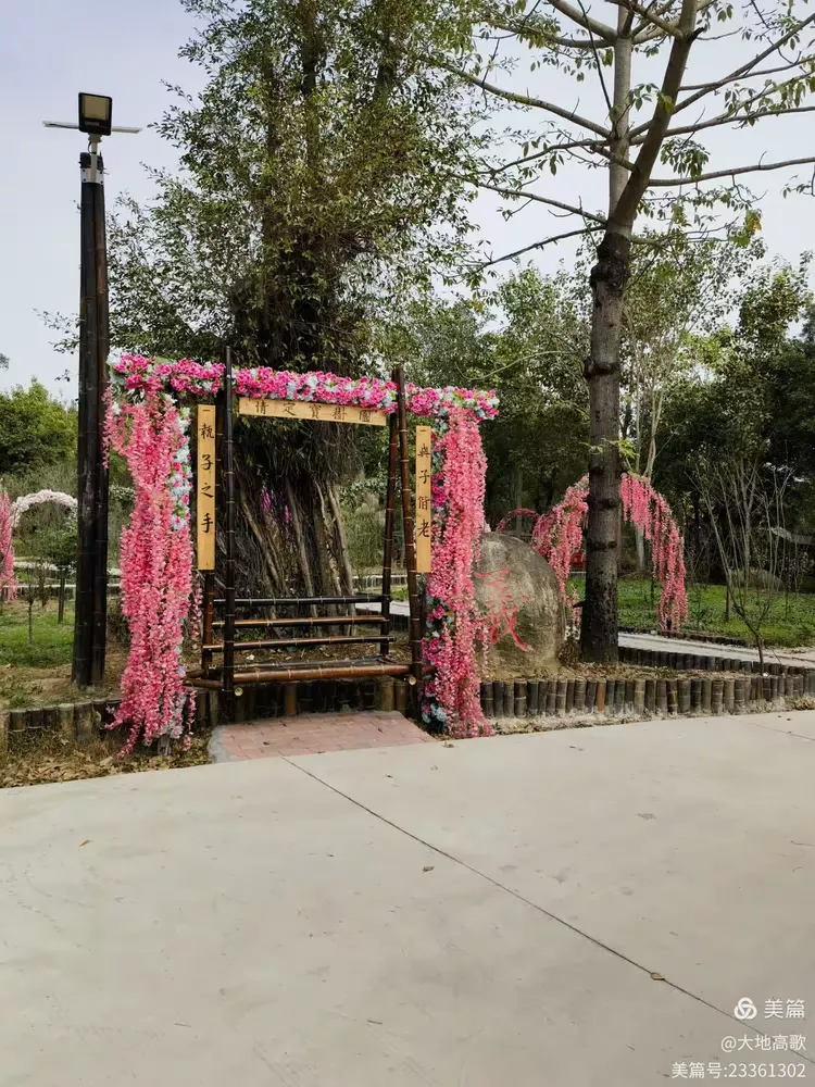 沙溪黄河宝树园203.12.10